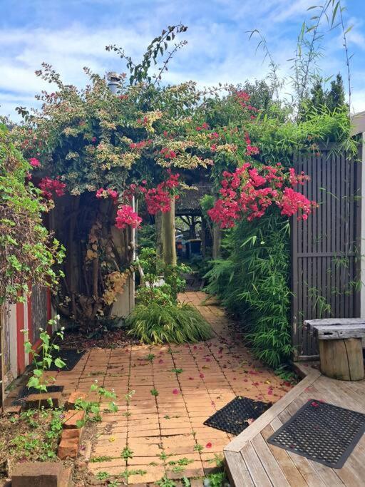 Secret Cottage Waitara Экстерьер фото