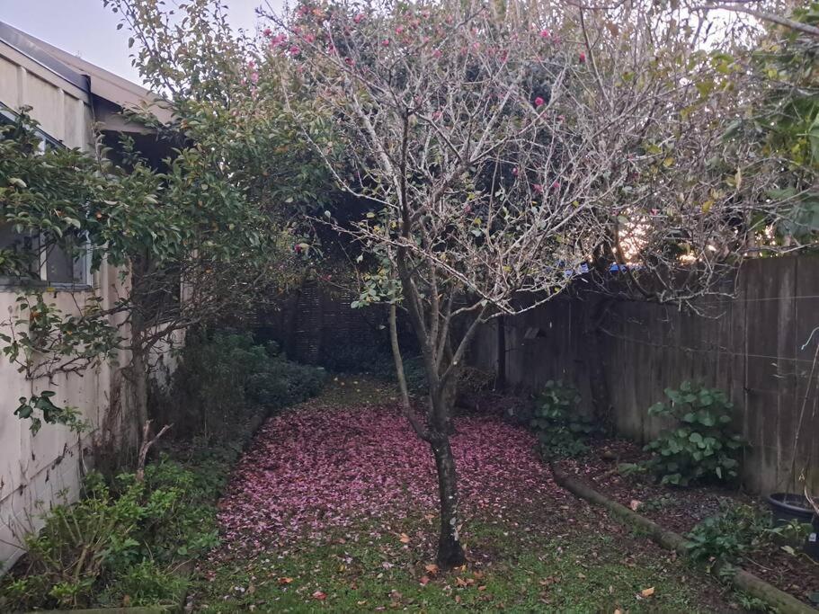 Secret Cottage Waitara Экстерьер фото