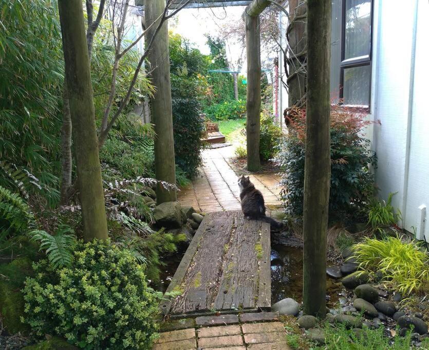 Secret Cottage Waitara Экстерьер фото