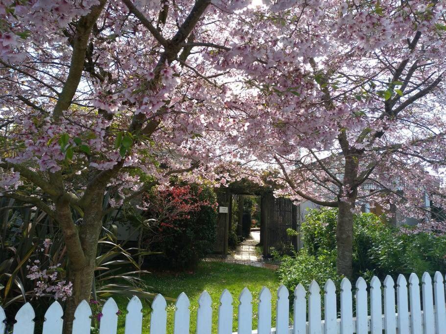 Secret Cottage Waitara Экстерьер фото