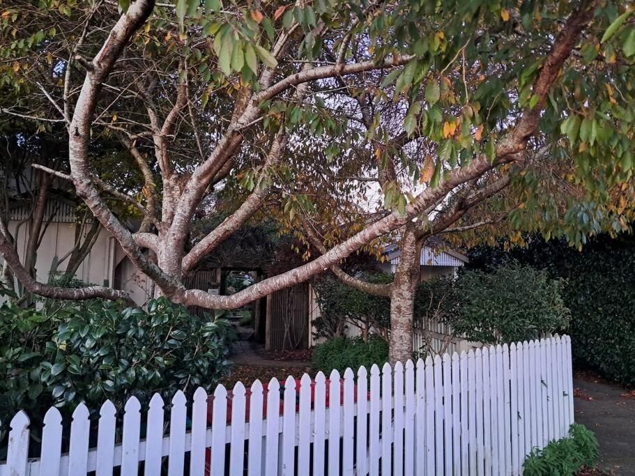 Secret Cottage Waitara Экстерьер фото